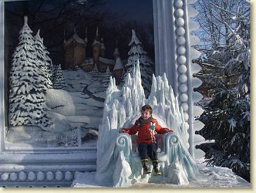 20100130 Efteling 13
